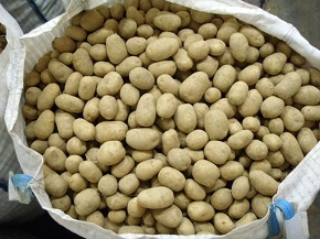 patatoparagogos